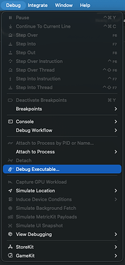 Debug Executable